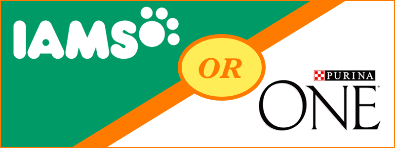 Iams or Purina One: A Pet Owner's Guide to the Best Choice