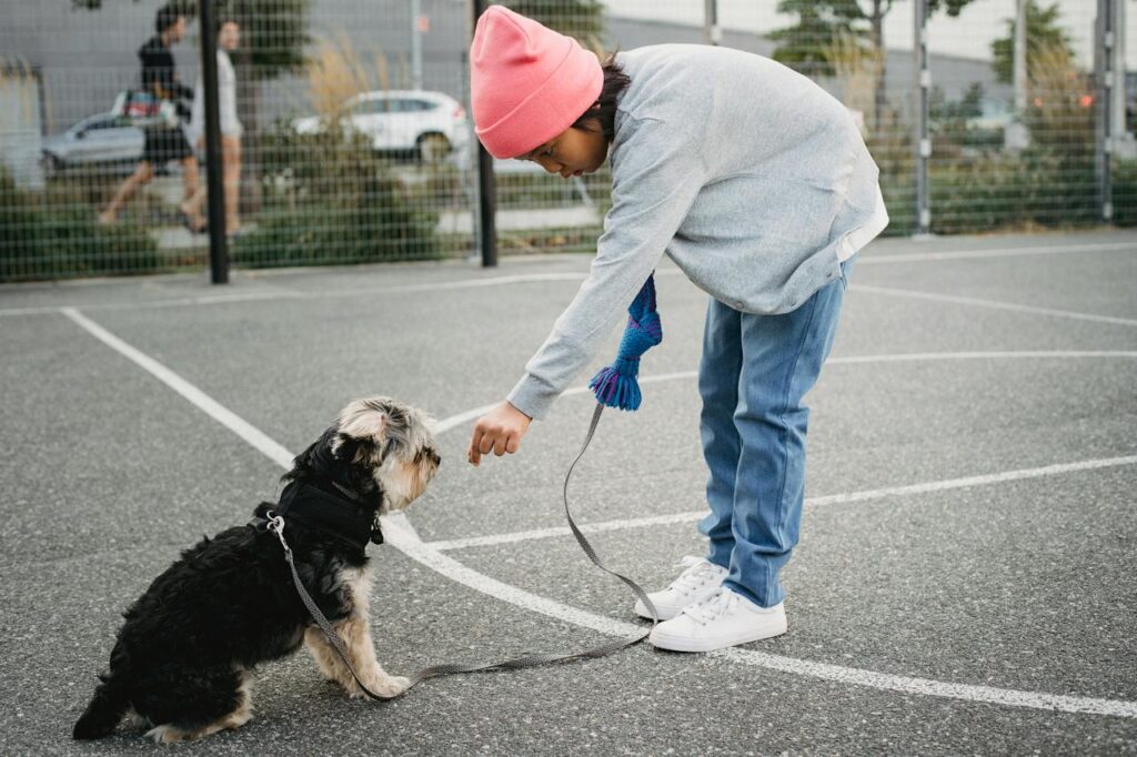 Dog Training: Sit command